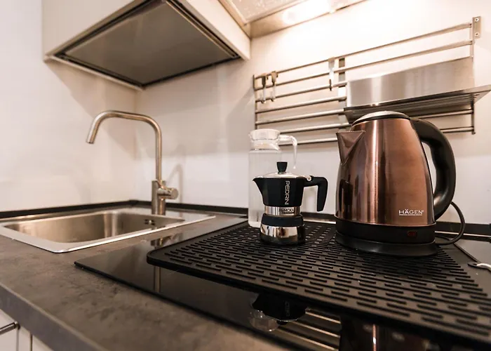 5min From Citta Alta Chic 公寓 贝尔加莫